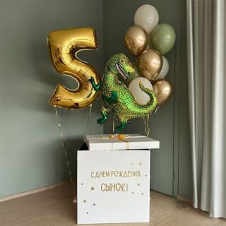 Коробка с шарами и цифрой 5 с динозавром