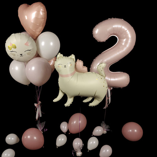 композиция шаров с цифрой 2 и кошечкой