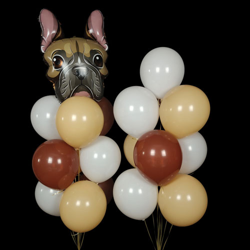 композиция шаров с бульдогом в теплых оттенках