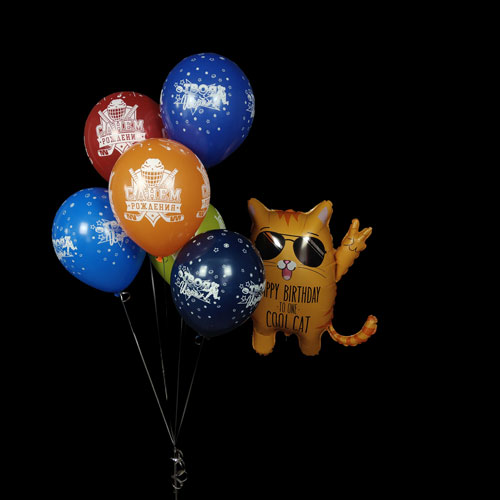 композиция шаров с котом и шарами хоккей