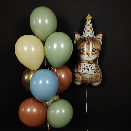 композиция шаров с котенком в природных оттенках