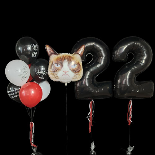 композиция шаров с цифрами 22 и котом