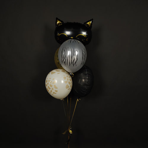 композиция шаров с черным котиком и шарами с рисунком