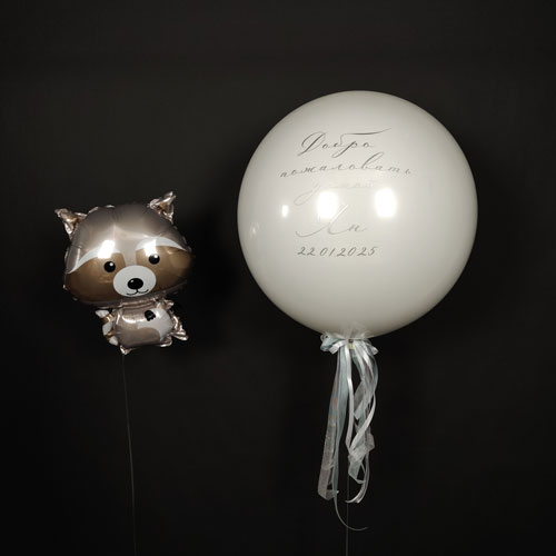 композиция шаров баблс с енотом